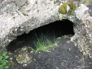 otta Acqua Vitale-04-05-2014 11-10-47